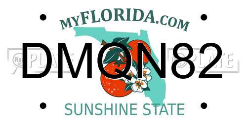 DMQN82 Florida License Plate