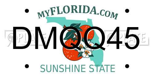 DMQQ45 Florida License Plate
