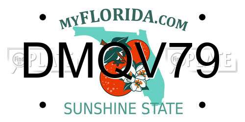 DMQV79 Florida License Plate
