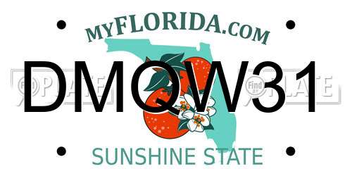 DMQW31 Florida License Plate