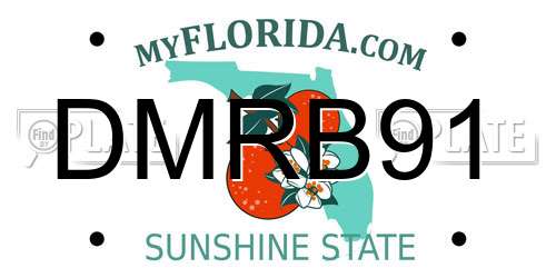 DMRB91 Florida License Plate