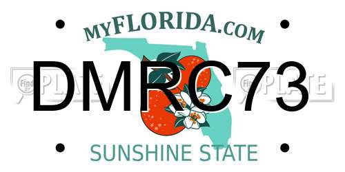 DMRC73 Florida License Plate
