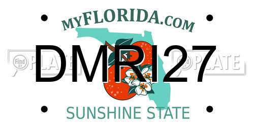 DMRI27 Florida License Plate