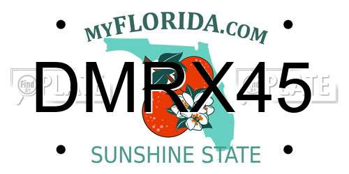 DMRX45 Florida License Plate