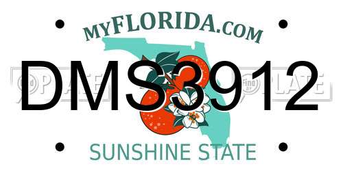 DMS3912 Florida License Plate