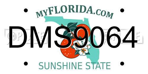 DMS9064 Florida License Plate