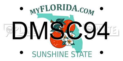 DMSC94 Florida License Plate
