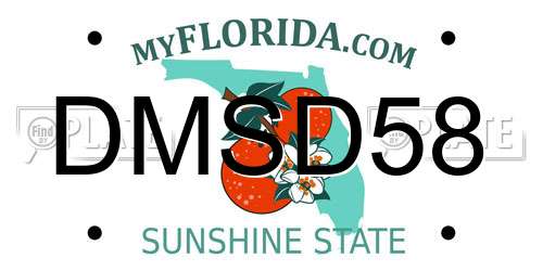 DMSD58 Florida License Plate