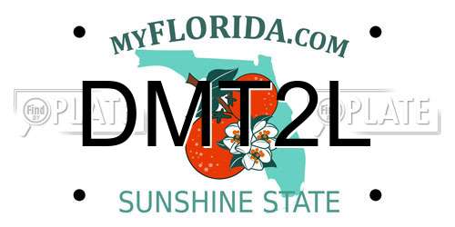 DMT2L Florida License Plate