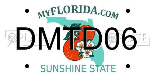 DMTD06 Florida License Plate