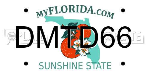 DMTD66 Florida License Plate