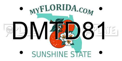 DMTD81 Florida License Plate