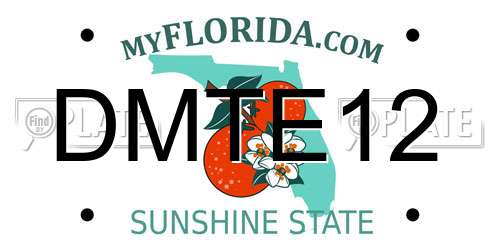 DMTE12 Florida License Plate