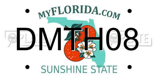 DMTH08 Florida License Plate