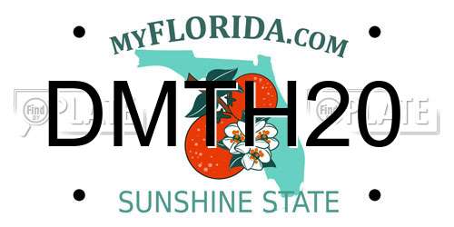 DMTH20 Florida License Plate