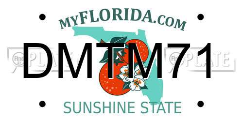 DMTM71 Florida License Plate