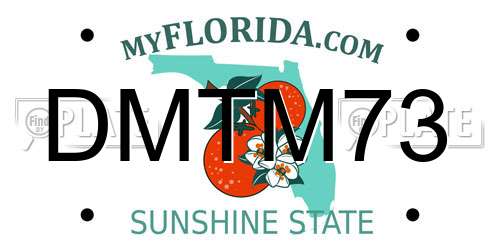 DMTM73 Florida License Plate