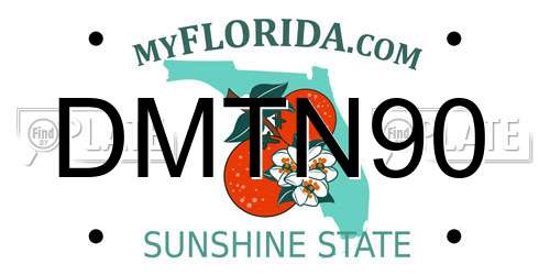 DMTN90 Florida License Plate