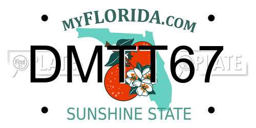 DMTT67 Florida License Plate
