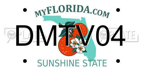 DMTV04 Florida License Plate