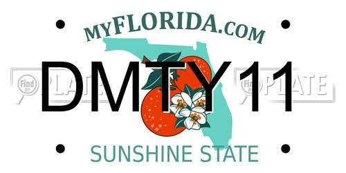 DMTY11 Florida License Plate