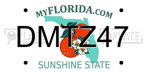DMTZ47 Florida License Plate