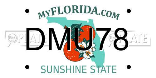 DMU78 Florida License Plate