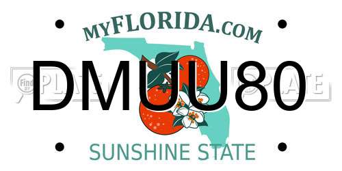 DMUU80 Florida License Plate