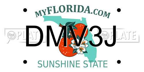 DMV3J Florida License Plate