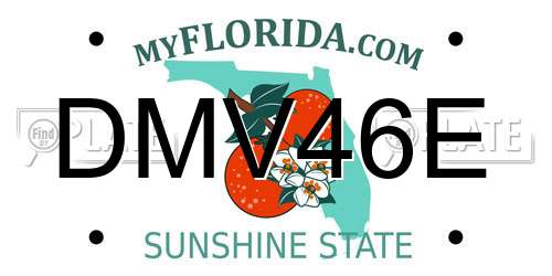DMV46E Florida License Plate
