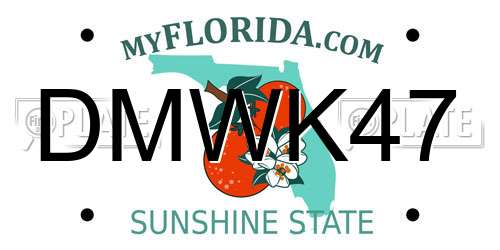DMWK47 Florida License Plate