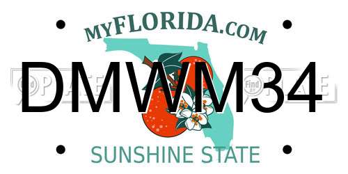 DMWM34 Florida License Plate