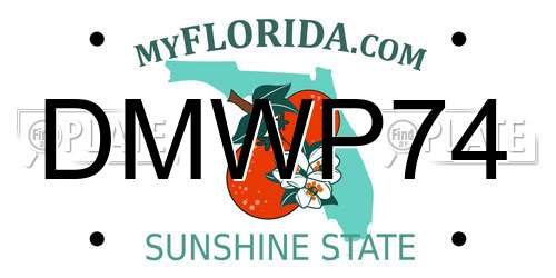 DMWP74 Florida License Plate