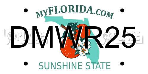 DMWR25 Florida License Plate