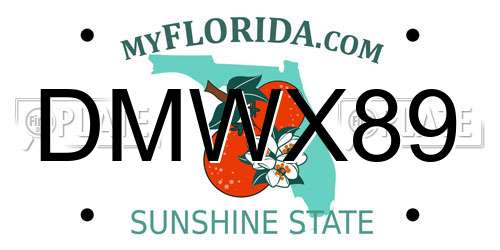 DMWX89 Florida License Plate