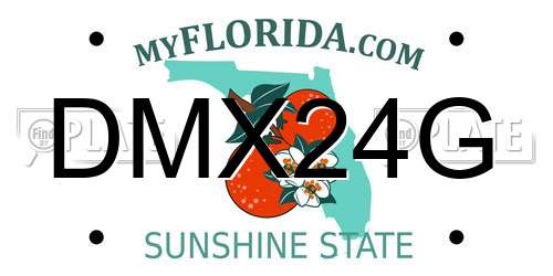 DMX24G Florida License Plate