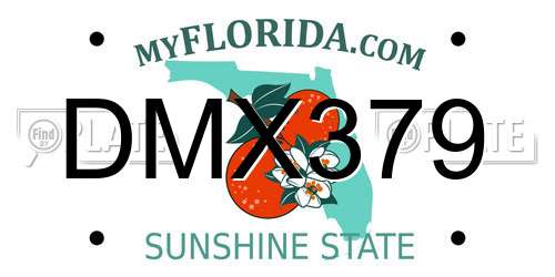 DMX379 Florida License Plate