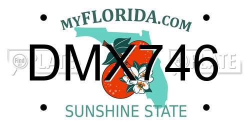 DMX746 Florida License Plate