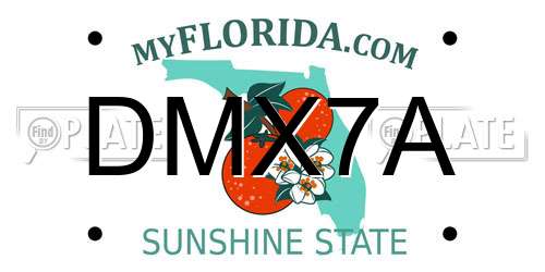 DMX7A Florida License Plate