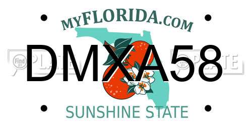 DMXA58 Florida License Plate