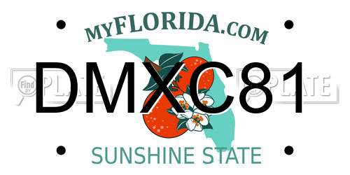 DMXC81 Florida License Plate