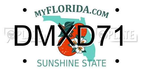 DMXD71 Florida License Plate