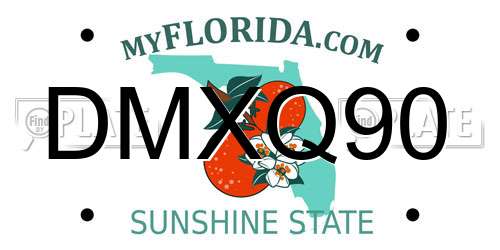 DMXQ90 Florida License Plate