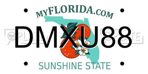 DMXU88 Florida License Plate