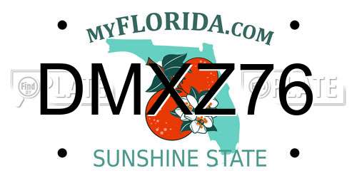 DMXZ76 Florida License Plate