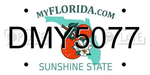 DMY5077 Florida License Plate