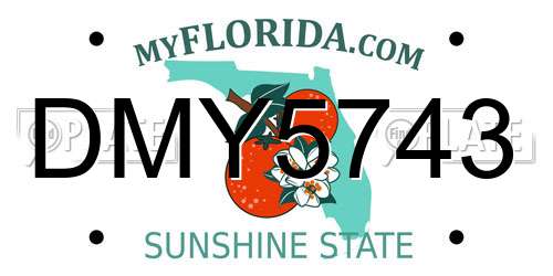 DMY5743 Florida License Plate