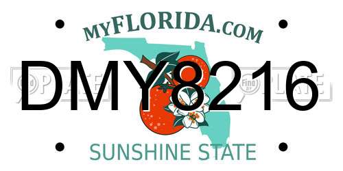 DMY8216 Florida License Plate