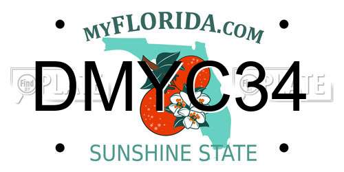 DMYC34 Florida License Plate