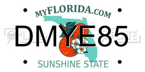 DMYE85 Florida License Plate